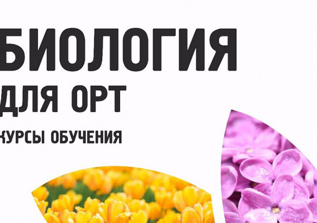 Курсы по биологии в «Эклектике»